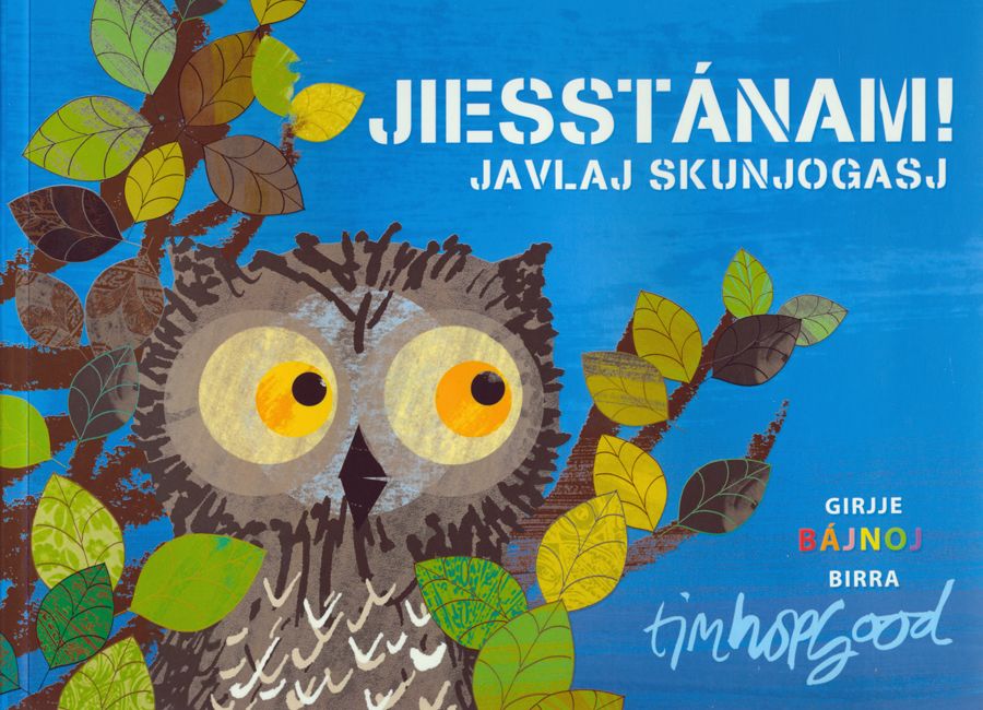 Wow! said the owl