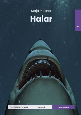 Hajer