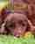 Encyclopedia of dogs