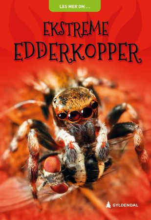 Scary spiders