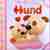 Chien