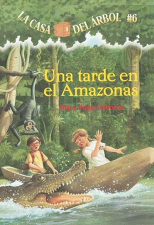 Afternoon on the Amazon