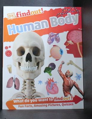 Human body