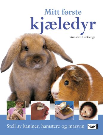 Small pet care