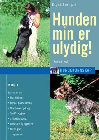 Mein Hund macht nicht was er soll