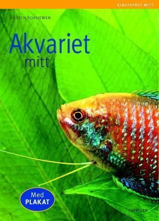 Mein Aquarium