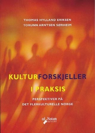 Kulturforskjeller i praksis