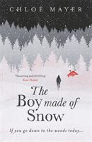 The boy made of snow