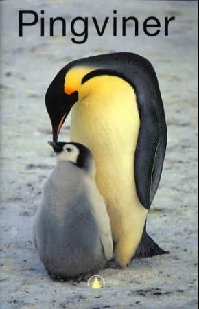 Pingviner