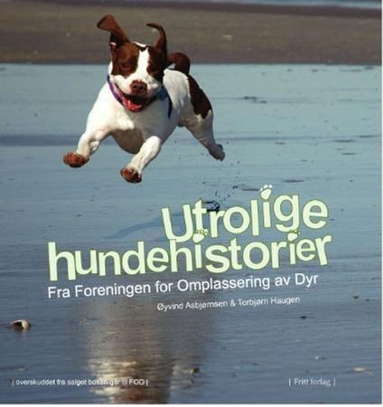Utrolige hundehistorier fra Foreningen for omplassering av dyr