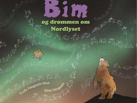 Bim og drømmen om nordlyset