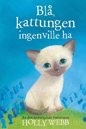 Sky the unwanted kitten