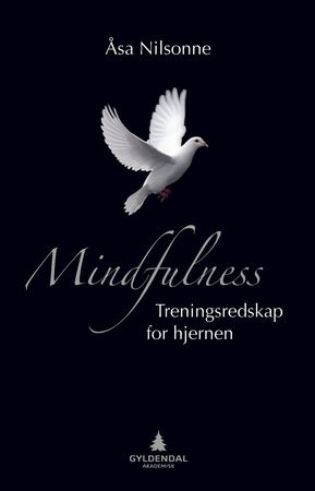 Mindfulness i hjärnan