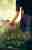 Gaven