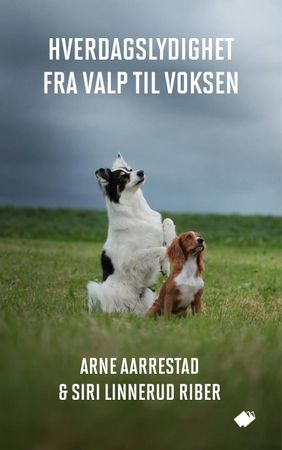 100 % positiv hverdagslydighet