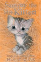 Sammy the shy kitten