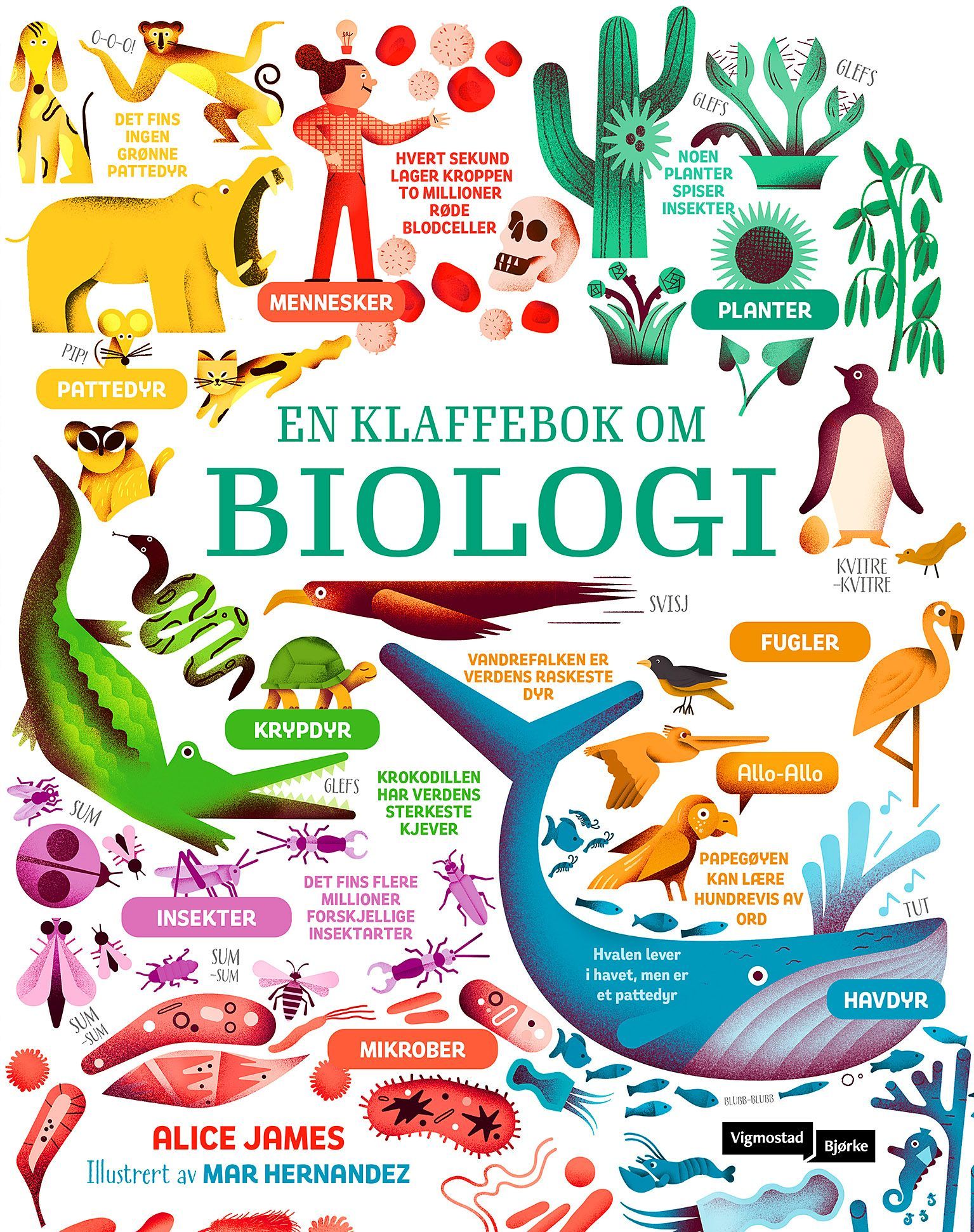 Lift-the-flap biology