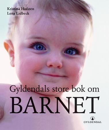Stora boken om barn