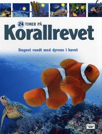 24 hours at the coral reef