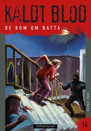 De kom om natten