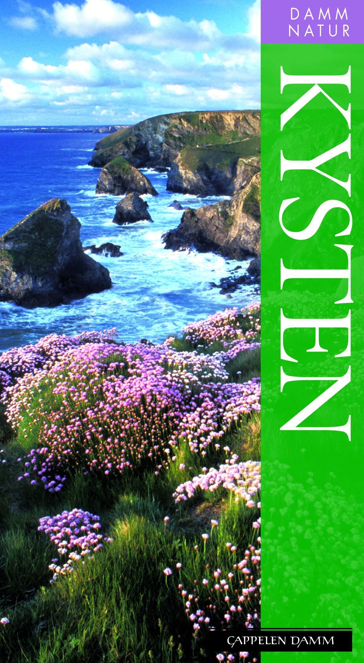 Seashore