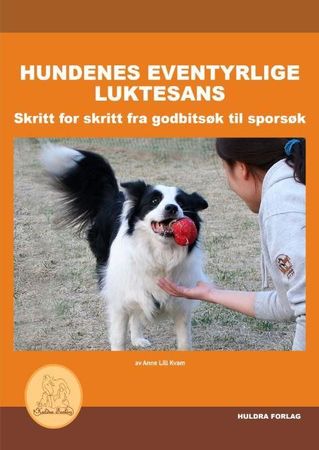 Nesearbeid for hund