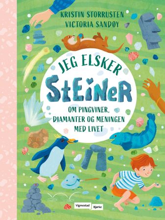 Jeg elsker steiner : om pingviner, steiner og meningen med livet