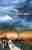 The death cure