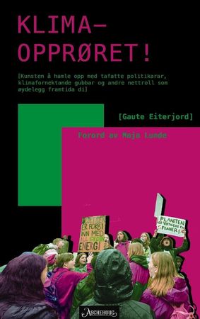 Klimaopprøret : kunsten å hamle opp med tafatte politikarar, klimafornektande gubbar og andre nettroll som øydelegg framtida di