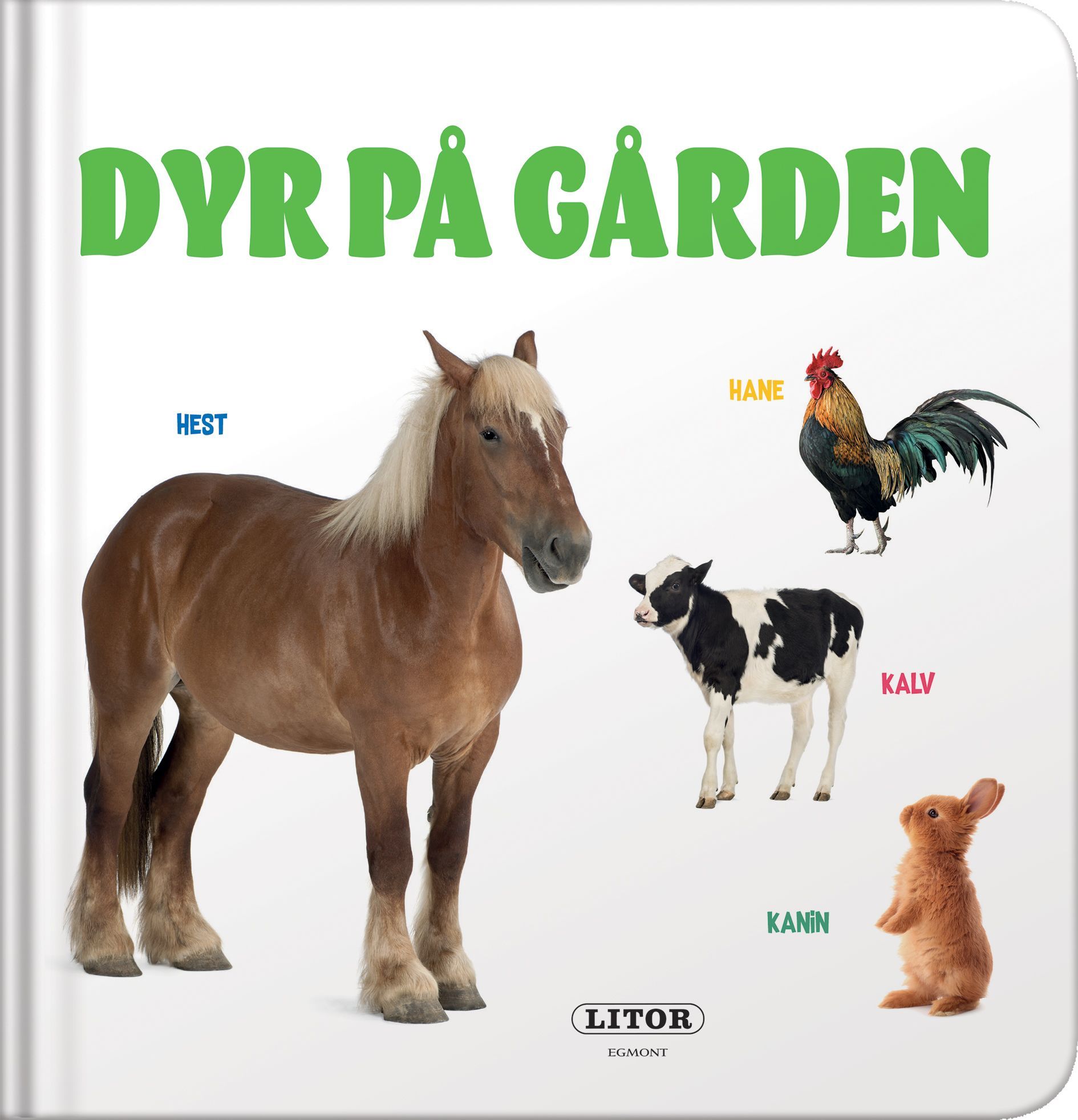 Sneak peak farm animals