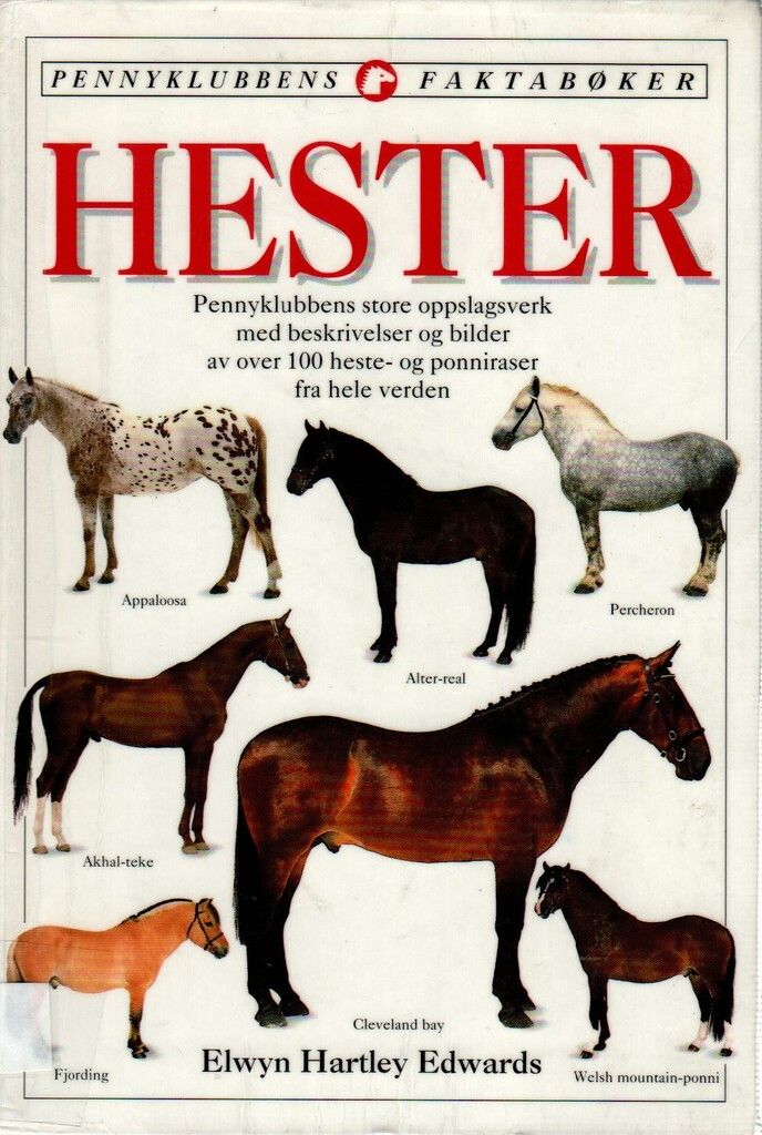 Horses