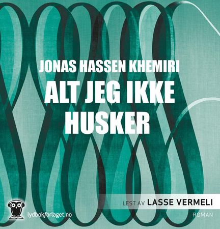 Allt jag inte minns