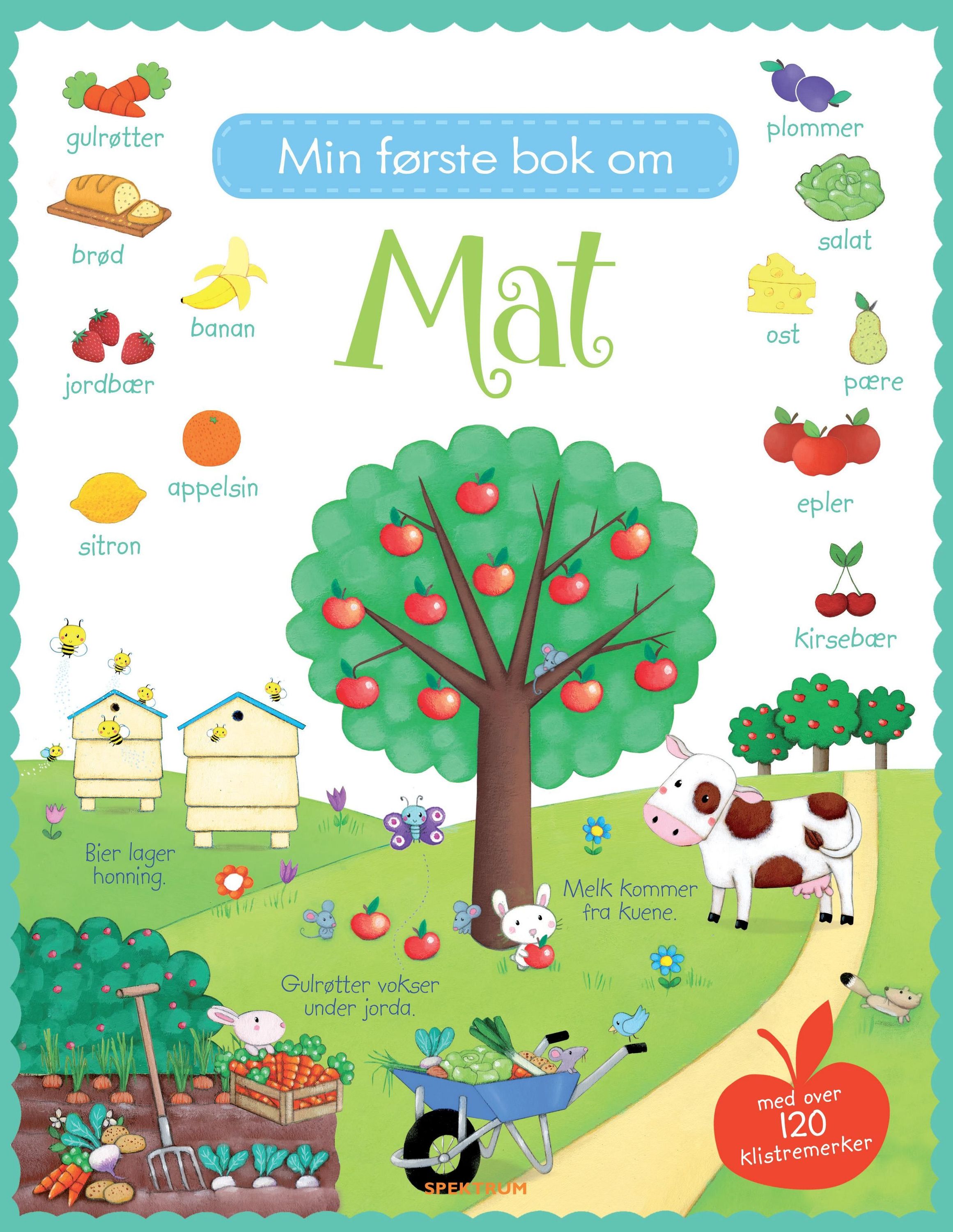 My first book about food