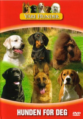 Hunden för dig