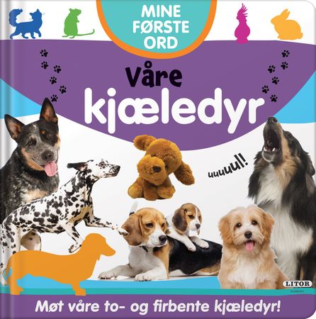 Pets animals