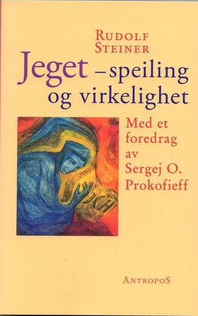 Das gespiegelte Ich