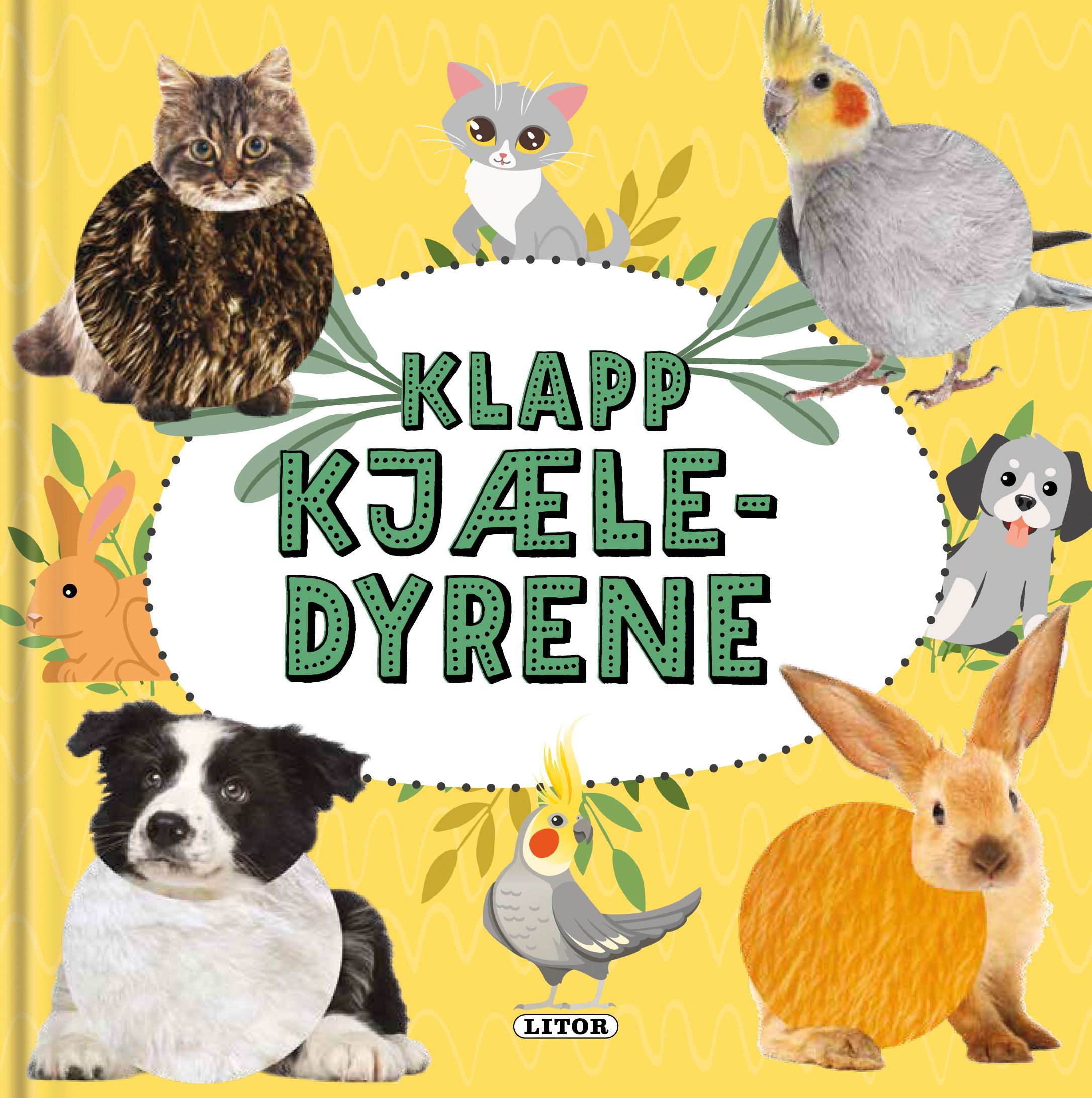 Pet friends