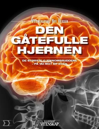 Den Gåtefulle hjernen