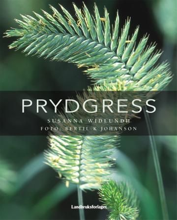 Prydnadsgräs