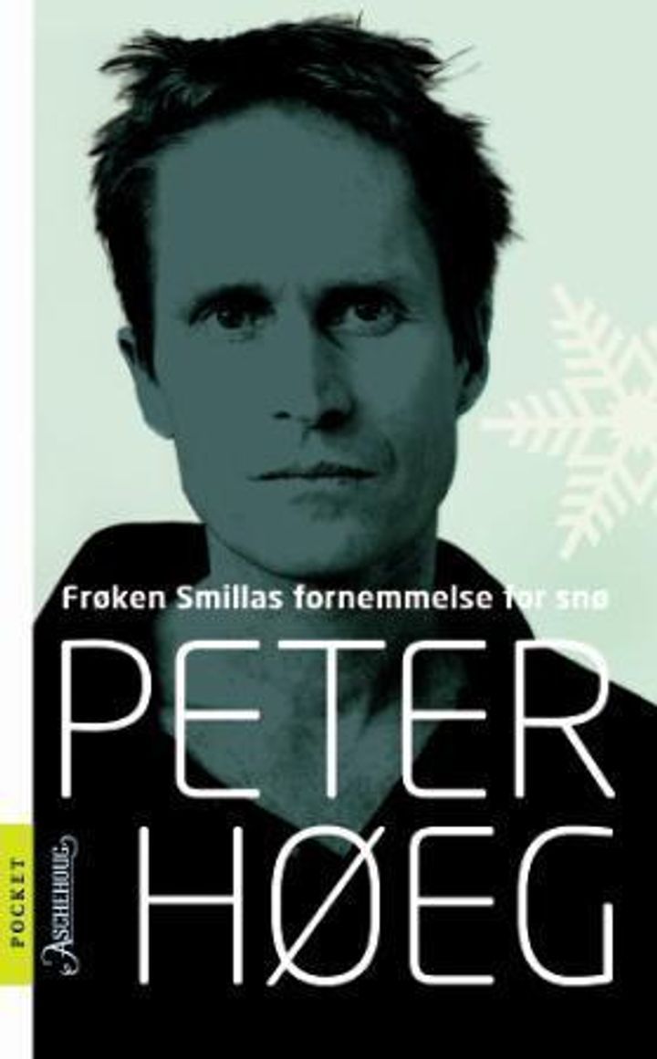 Frøken Smillas fornemmelse for sne