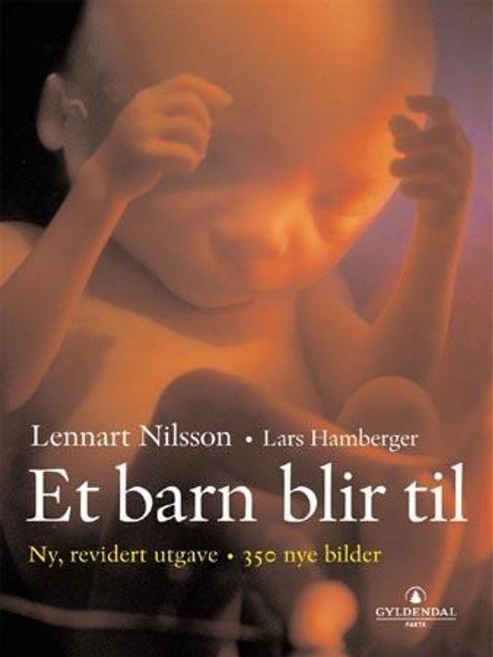Ett barn blir till