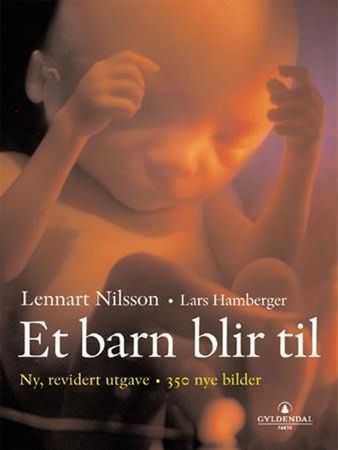 Ett barn blir till