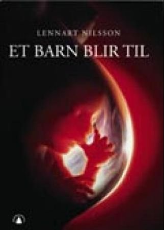 Ett barn blir till