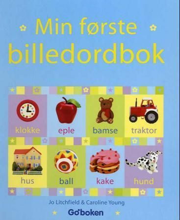 The Usborne first picture word book