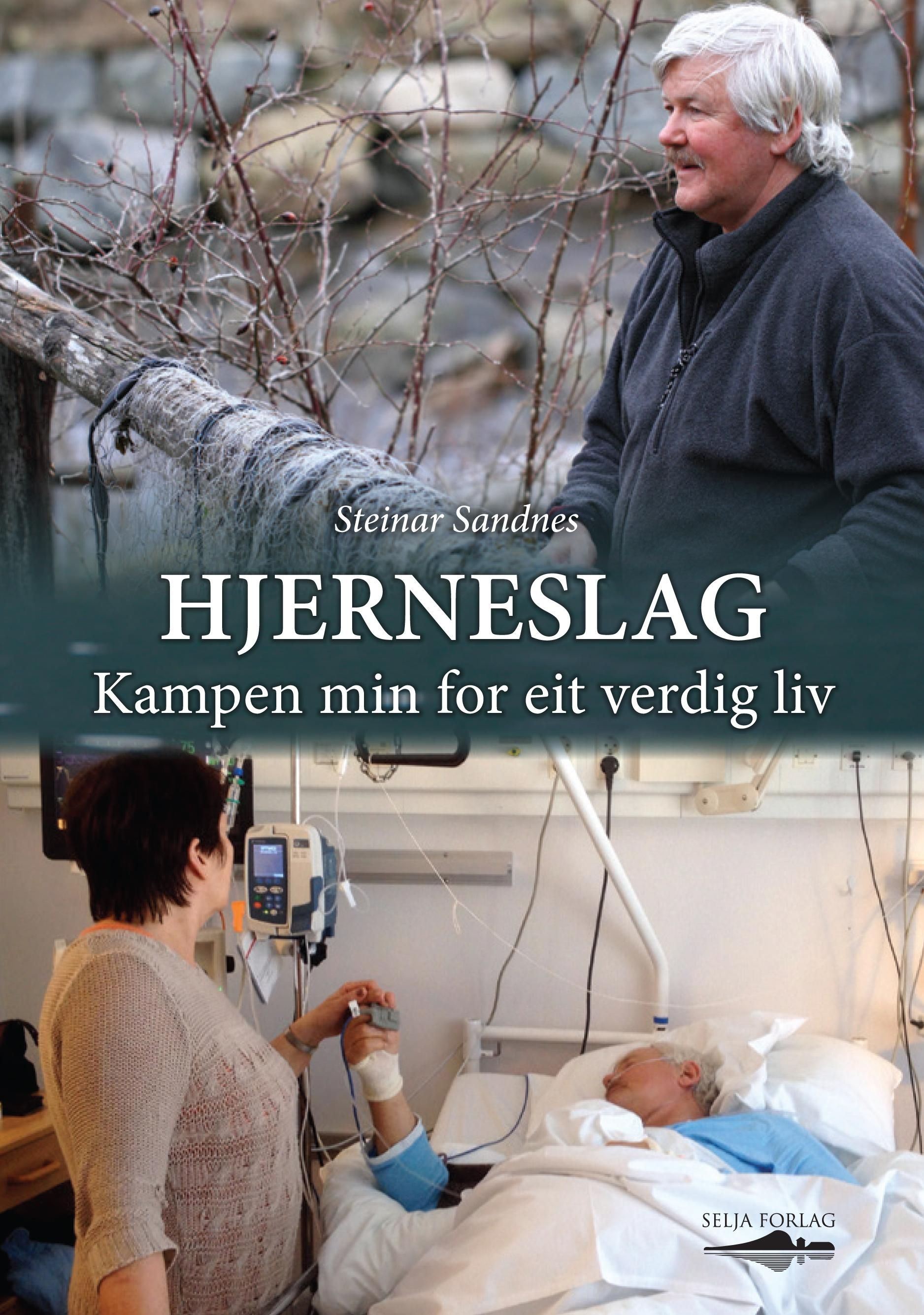 Hjerneslag