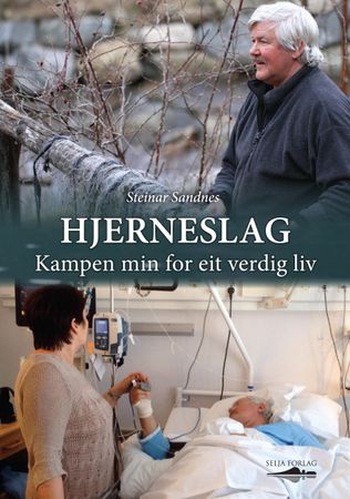 Hjerneslag
