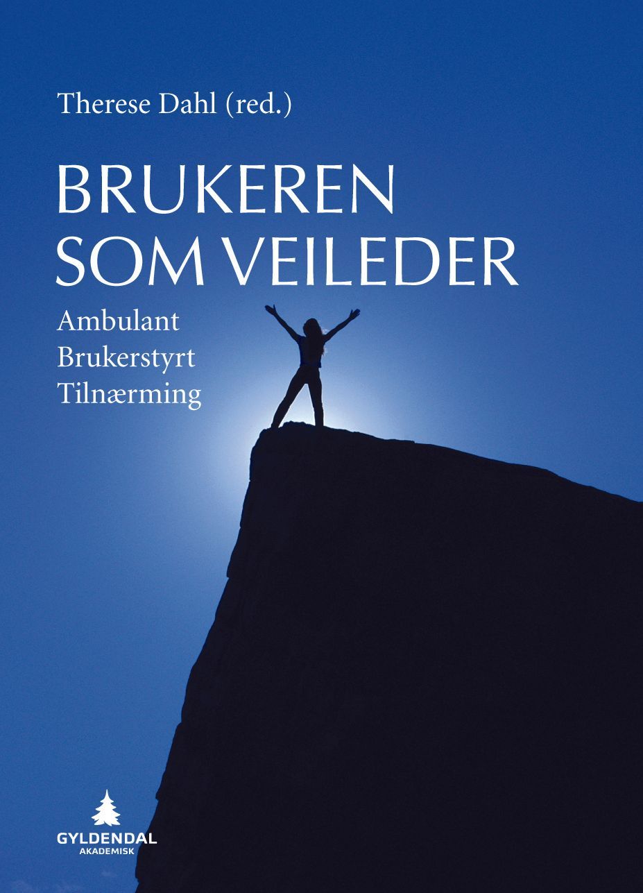 Brukeren som veileder