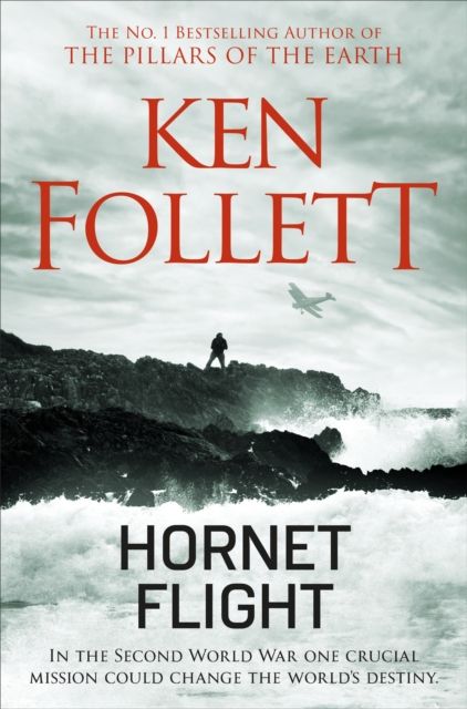 Hornet flight