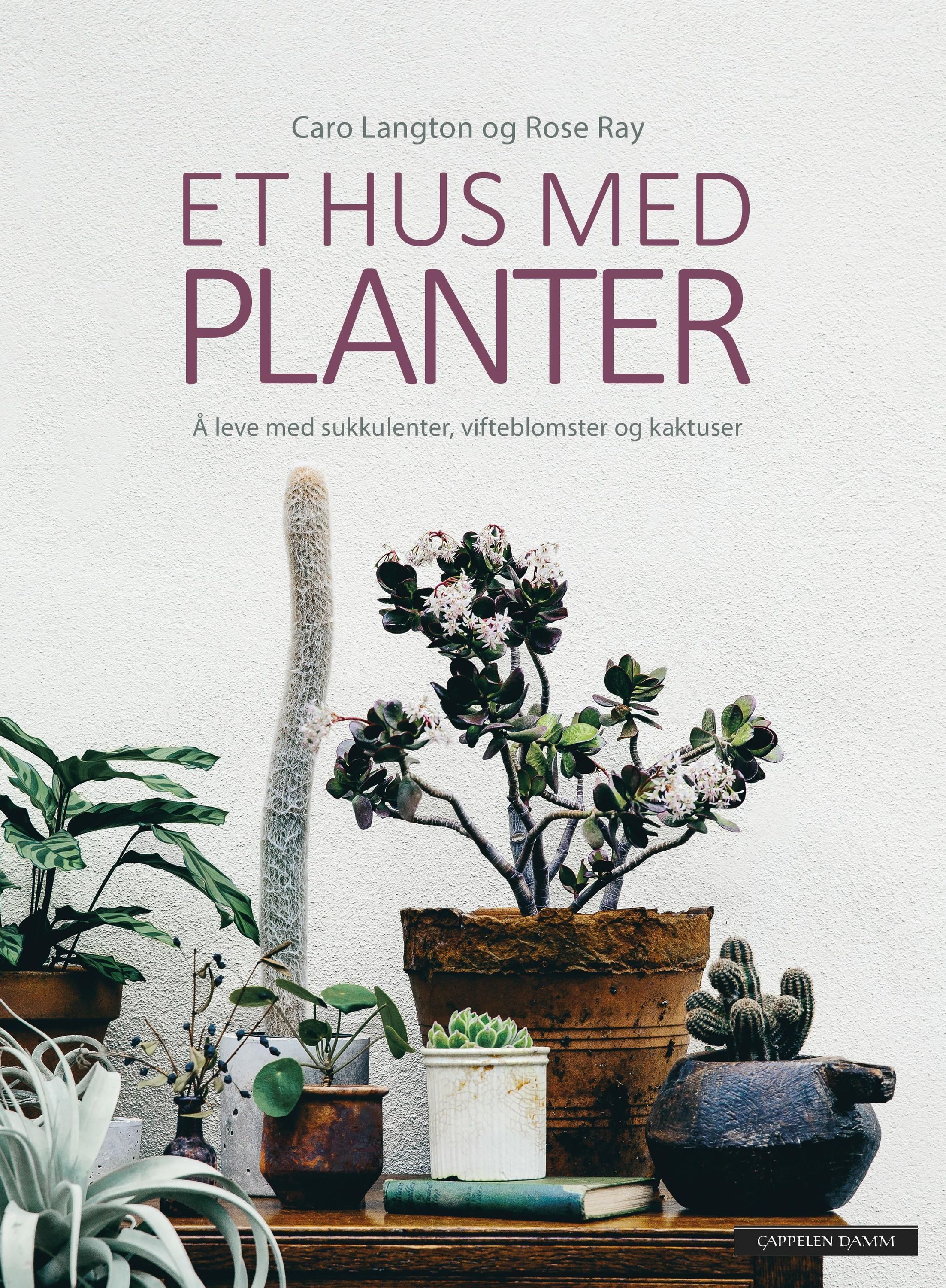 House of plants
