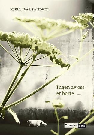 Ingen av oss er borte